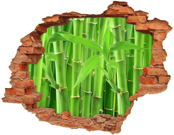Hole wall sticker Green bamboo forest