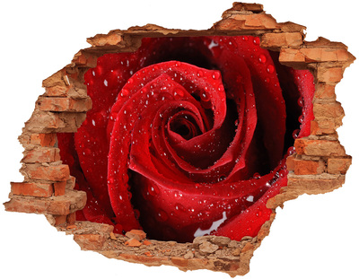 Hole wall sticker Rose drops