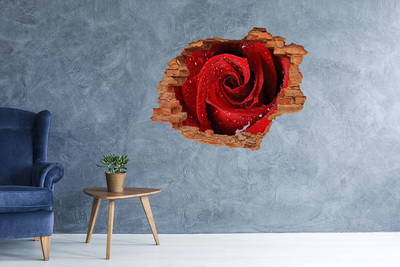 Hole wall sticker Flower in concrete