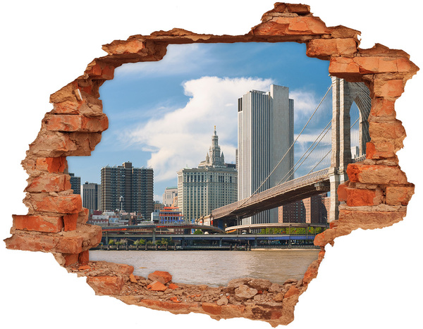 3D wall hole View of New York