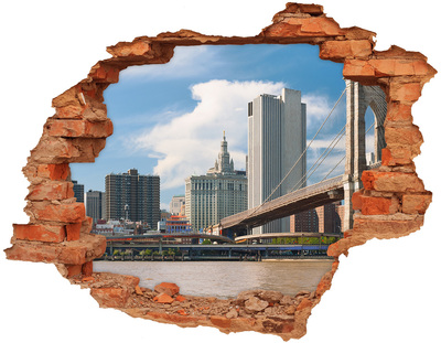 3D wall hole View of New York
