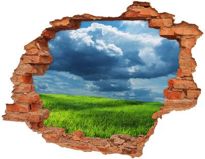 3D wall hole Green meadow under the clouds