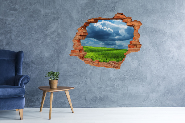 3D wall hole Green meadow under the clouds