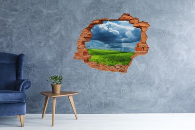 3D wall hole Green meadow under the clouds