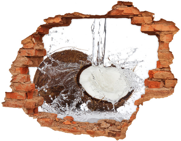 Hole in the wall sticker Coconut