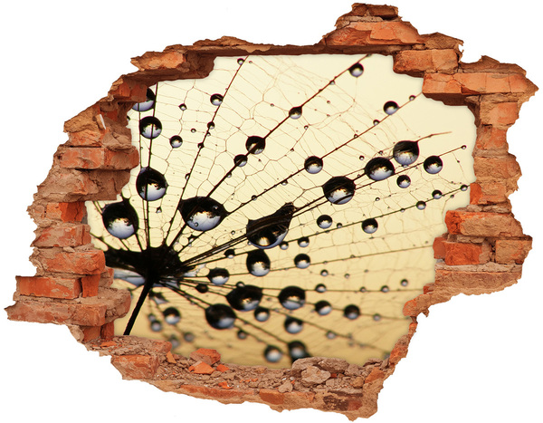 Hole wall sticker Water drops on a butterfly wing