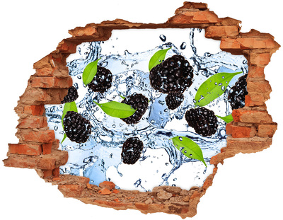 Hole in the wall decal Blackberries and water