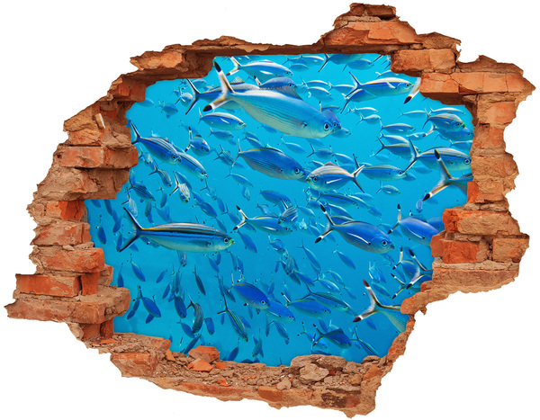 Hole in the wall decal The underwater world of fish