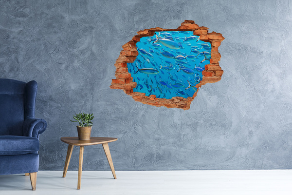 Hole in the wall decal The underwater world of fish
