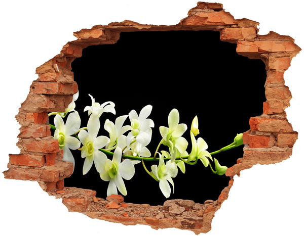 3D wall hole wallpaper Orchid