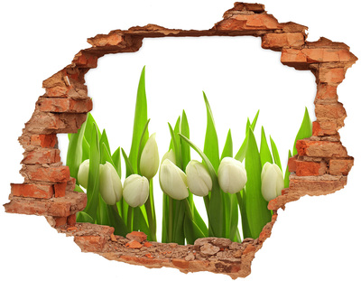 Hole in the wall decal Flowers in the garden