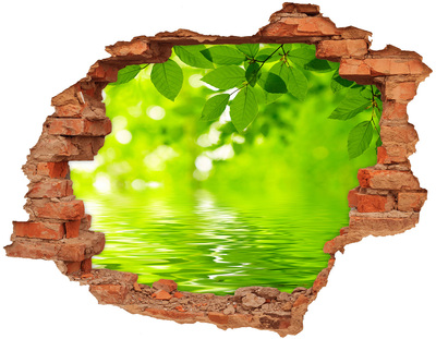 3D wall hole wallpaper Green oasis with water
