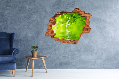 3D wall hole wallpaper Green leaves