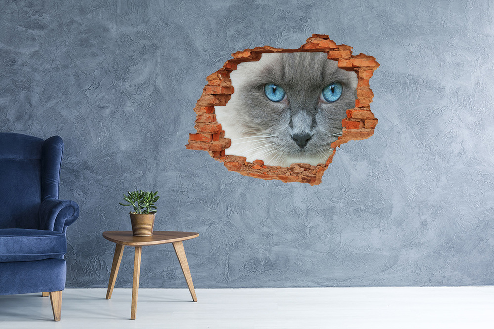 Hole wall sticker Cat blue eyes