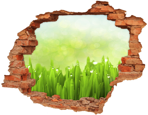 Hole wall sticker Green meadow with drops of water
