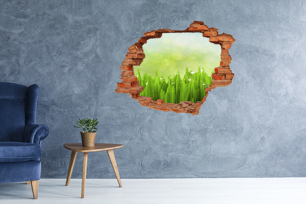 Hole wall sticker Green meadow with drops of water