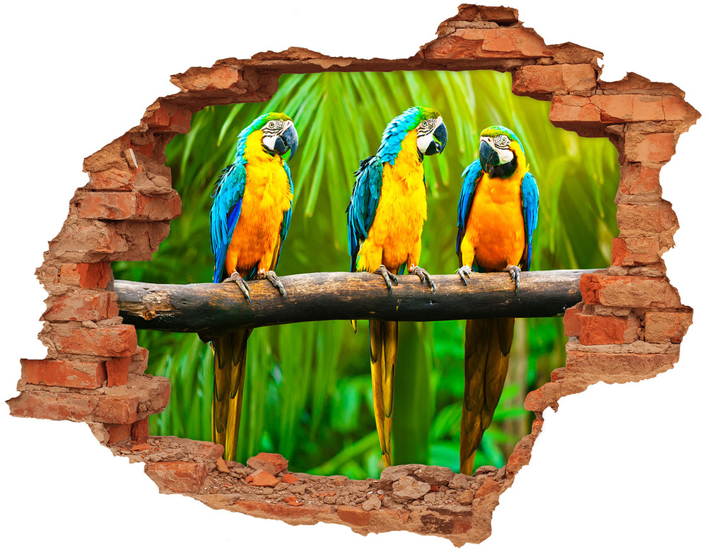 Hole wall sticker Parrots on a branch