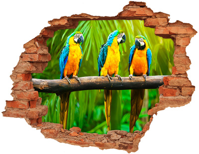 Hole wall sticker Tropical parrots in the jungle