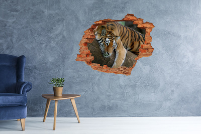 Hole wall sticker Tiger on a tree