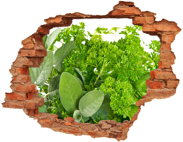 3D wall hole Herbs