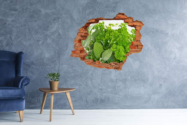 3D wall hole Herbs