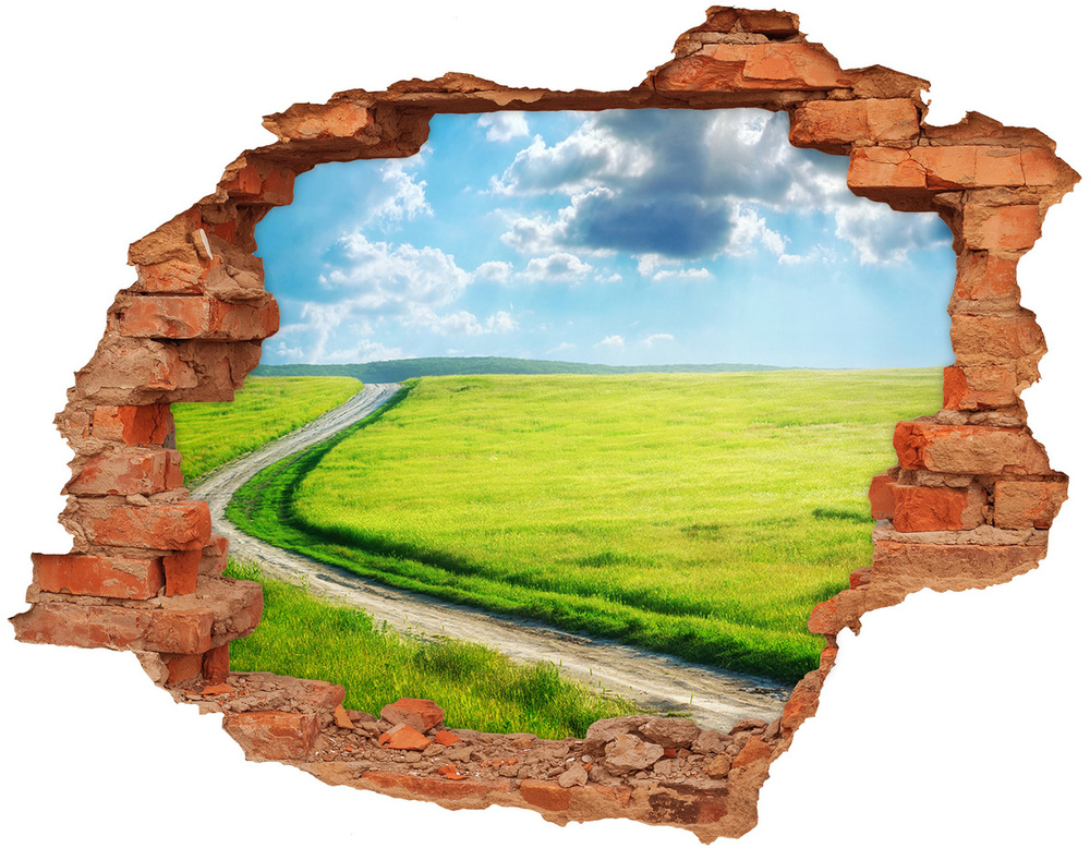 Hole wall sticker Path in the meadow