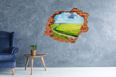 Hole wall sticker Green meadow with sky