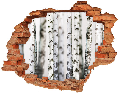 Hole wall sticker Birch trunks