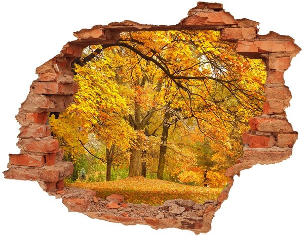 Hole wall sticker Golden autumn in the forest