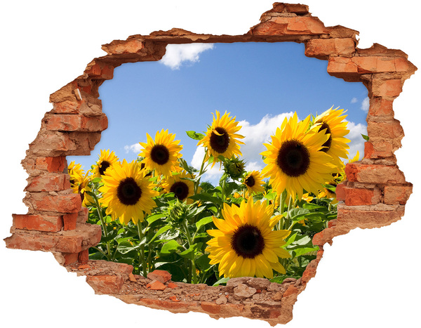 3D wall hole wallpaper Sunflowers