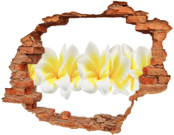 Hole in the wall sticker A flower paradise behind the wall