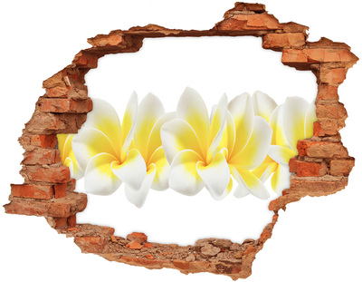 Hole in the wall sticker Plumeria