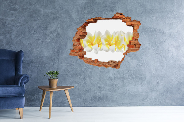 Hole in the wall sticker Plumeria