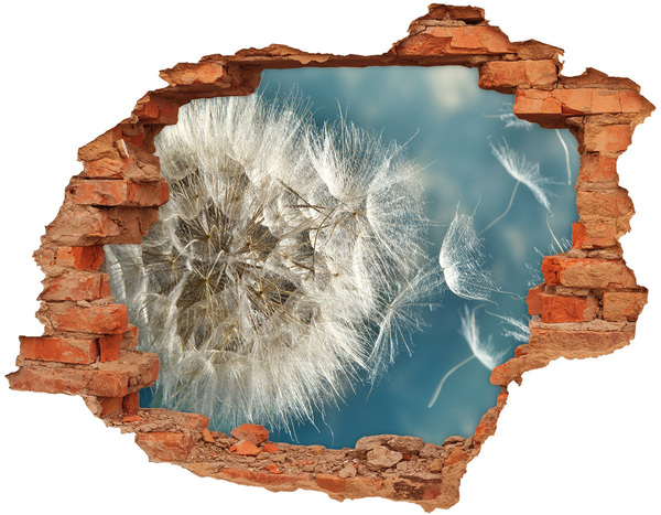 Hole in the wall sticker Dandelions against the sky