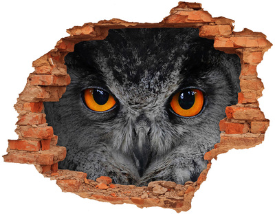 Hole wall sticker Owl devilish eyes