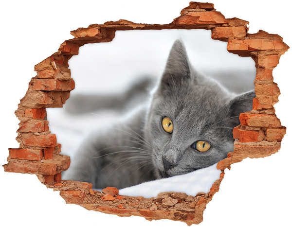 Hole in the wall decal Gray cat in a hole in the wall