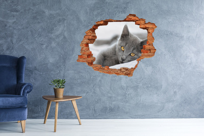 Hole in the wall decal Gray cat in a hole in the wall