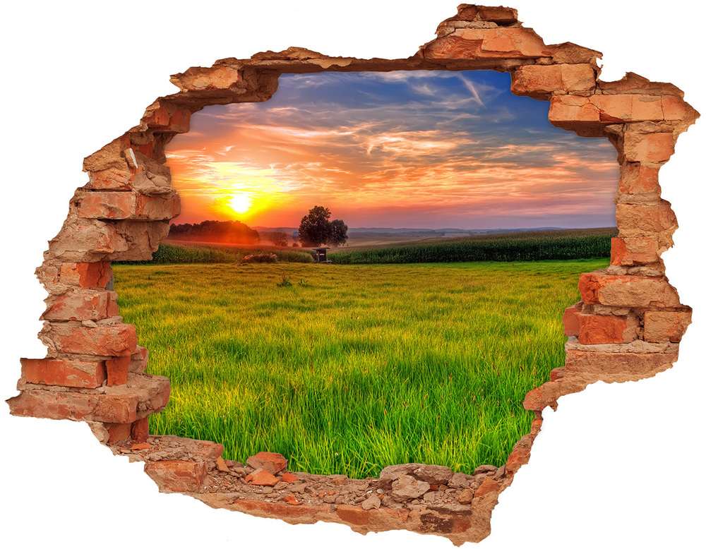 Hole in the wall decal Sunset meadow