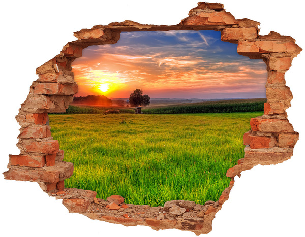 Hole in the wall decal Sunset over the meadow