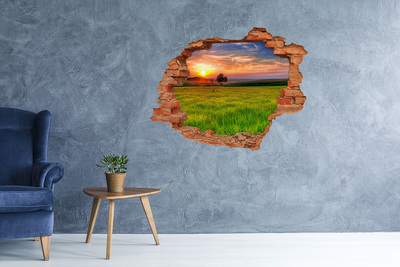Hole in the wall decal Sunset over the meadow