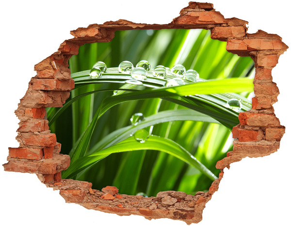Hole in the wall decal Green meadow with drops of water