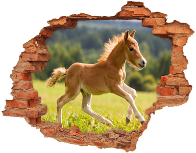 Hole in the wall decal A foal in the meadow