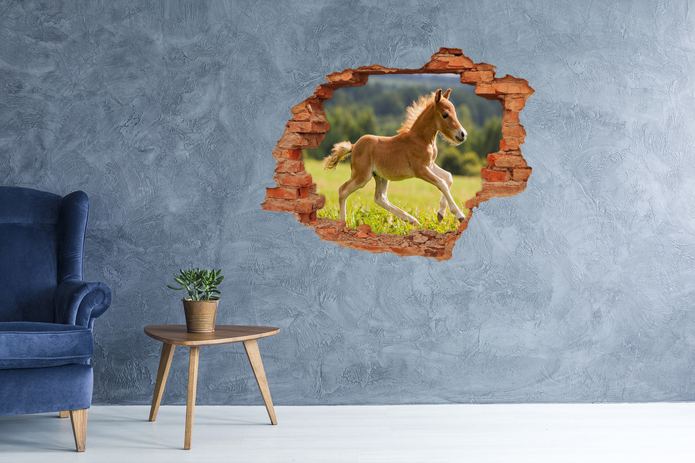 Hole in the wall decal Foal at a gallop