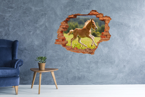 Hole in the wall decal A foal in the meadow