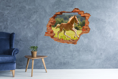 Hole in the wall decal A foal in the meadow