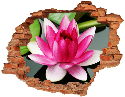 Hole in the wall decal Lotus flower in a hole in the wall