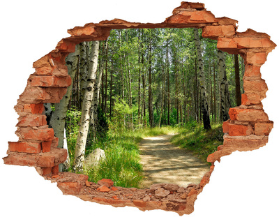 Hole in the wall decal Path in the forest