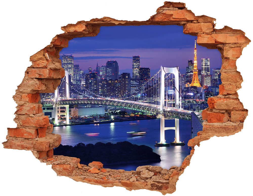 3D wall hole Bridge in Tokyo