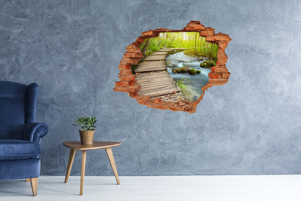 3D wall hole Path over the river