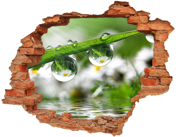 3D wall hole Floral oasis with water drops